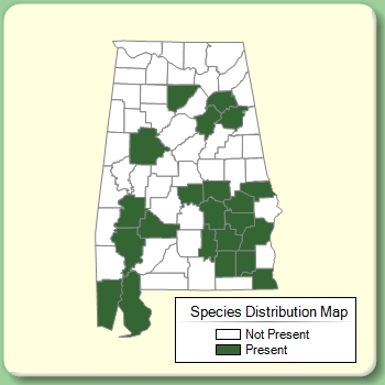 Species Distribution Map