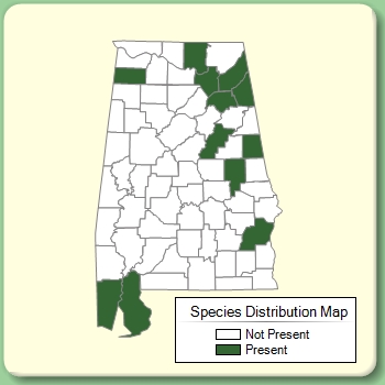 Species Distribution Map