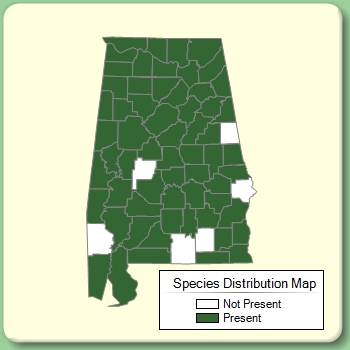 Species Distribution Map