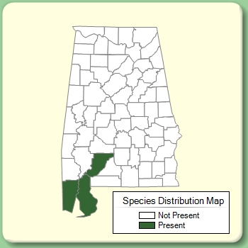 Species Distribution Map