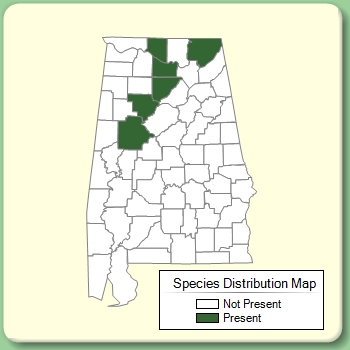 Species Distribution Map