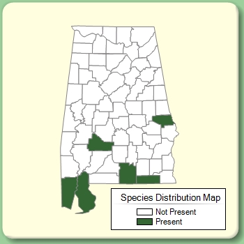 Species Distribution Map