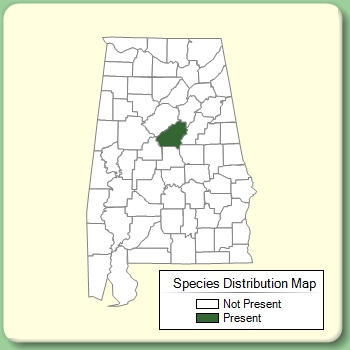 Species Distribution Map