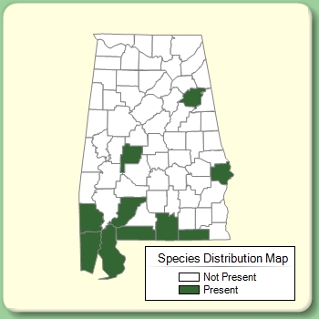 Species Distribution Map