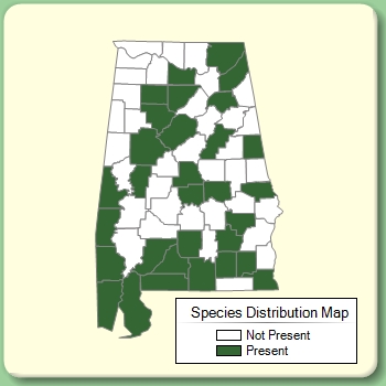 Species Distribution Map