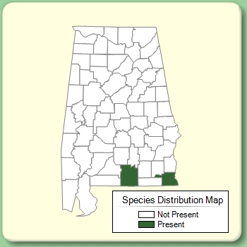 Species Distribution Map