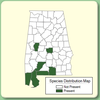 Species Distribution Map