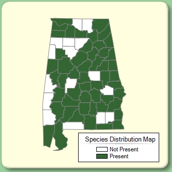 Species Distribution Map