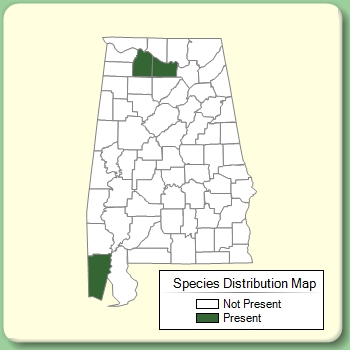 Species Distribution Map