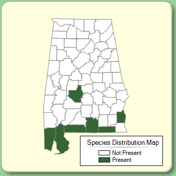 Species Distribution Map