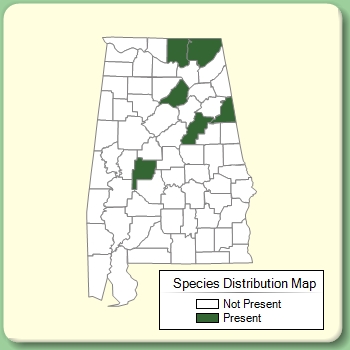 Species Distribution Map