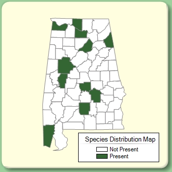 Species Distribution Map