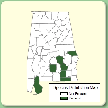 Species Distribution Map