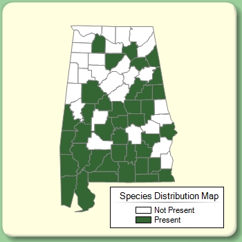 Species Distribution Map