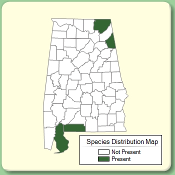 Species Distribution Map