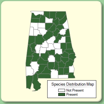 Species Distribution Map