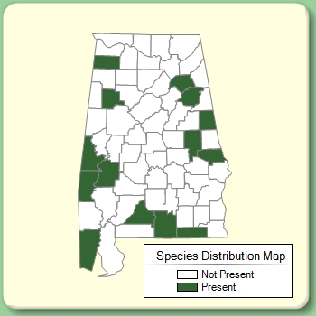 Species Distribution Map