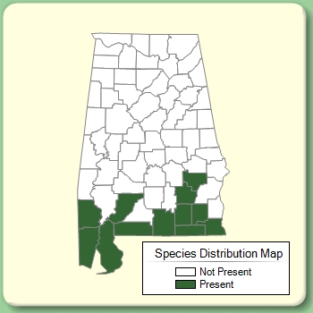 Species Distribution Map