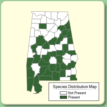 Species Distribution Map