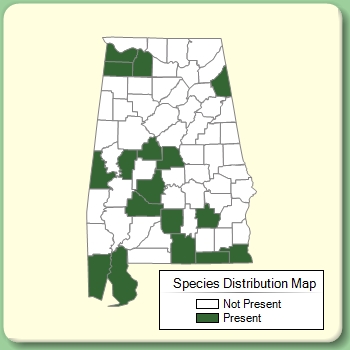 Species Distribution Map