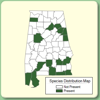 Species Distribution Map