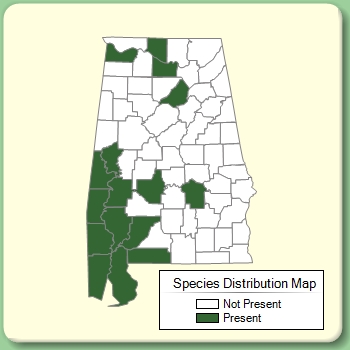 Species Distribution Map