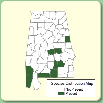 Species Distribution Map