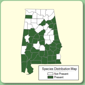 Species Distribution Map