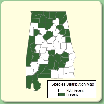 Species Distribution Map