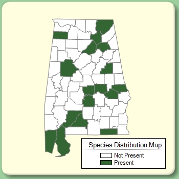 Species Distribution Map