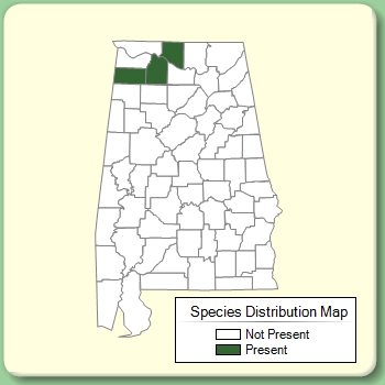 Species Distribution Map