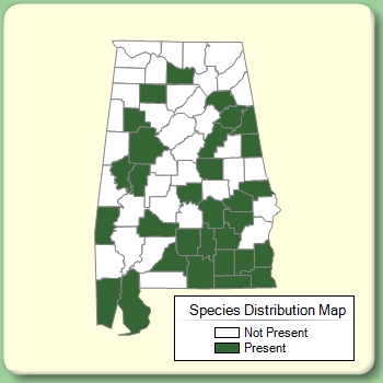 Species Distribution Map