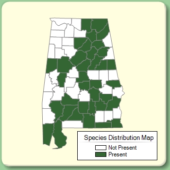 Species Distribution Map