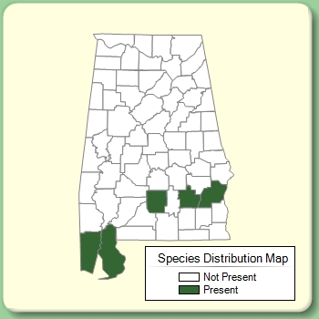 Species Distribution Map