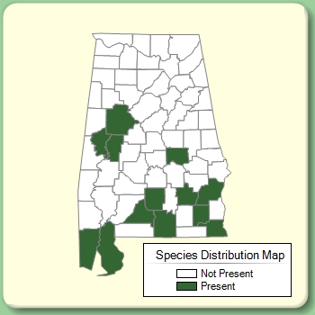 Species Distribution Map