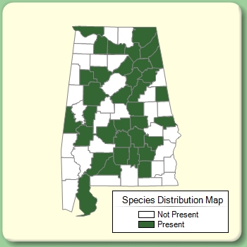 Species Distribution Map