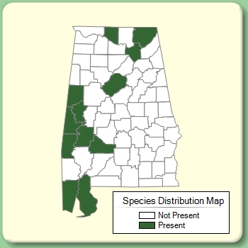 Species Distribution Map