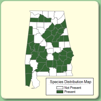 Species Distribution Map