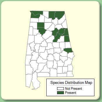 Species Distribution Map