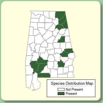 Species Distribution Map