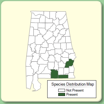 Species Distribution Map