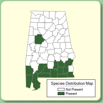 Species Distribution Map