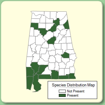 Species Distribution Map