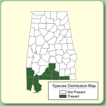 Species Distribution Map