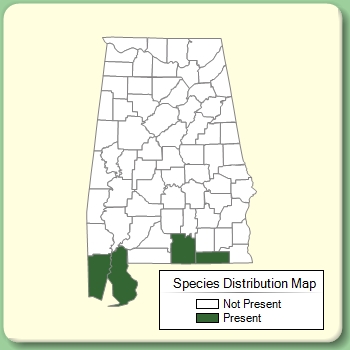 Species Distribution Map