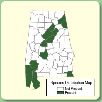 Species Distribution Map