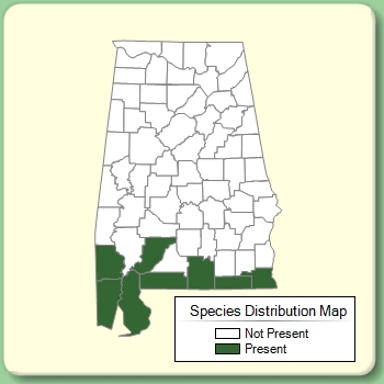 Species Distribution Map