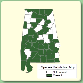 Species Distribution Map