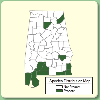 Species Distribution Map