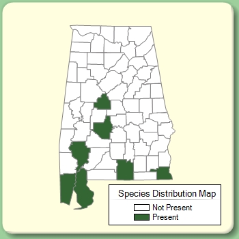 Species Distribution Map